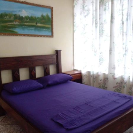 La Pension Backpackers La Fortuna Zewnętrze zdjęcie